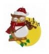 Personalized Violin Owl Holiday Ornament