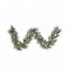 Vickerman Nederland Mixed Pine Garland