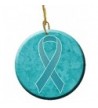 Carolines Treasures Awareness Ornament AN1201CO1