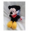 Disney Mickey Mouse Graduation