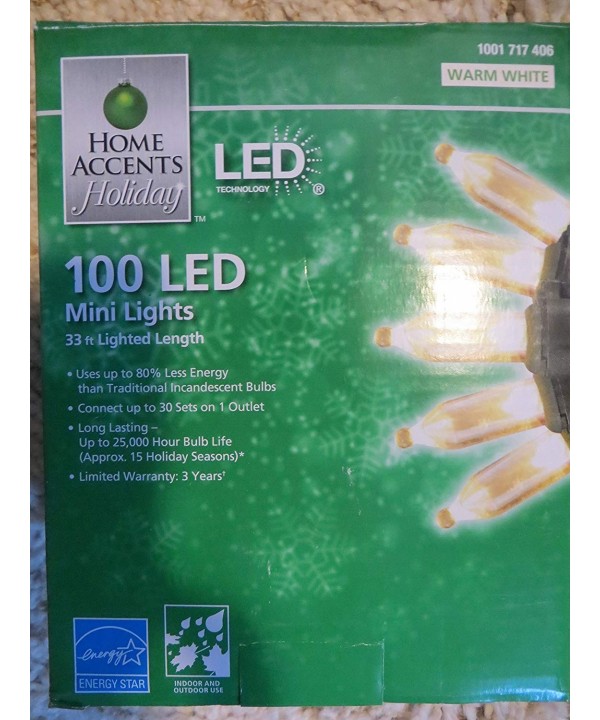 100 LED Mini Lights accents