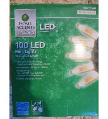 100 LED Mini Lights accents