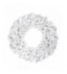 Northlight Canadian Artificial Christmas Wreath