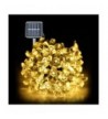 Fashion Seasonal Lighting On Sale