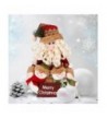 Christmas Festive Ornament Crafts 1028cm