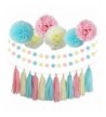 Gender Reveal Supplies Decorations Garland