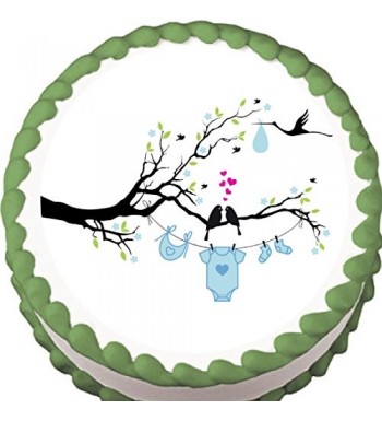 Cheap Baby Shower Cake Decorations Outlet