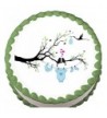 Cheap Baby Shower Cake Decorations Outlet
