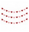 Vilight Hearts Garland Party Decorations