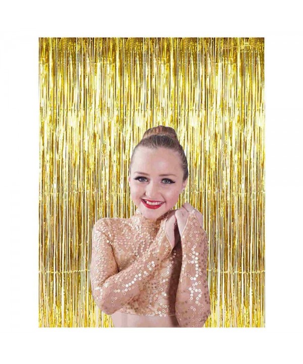 ShiDianYi 3FTx8FT Gold Foil Fringe Curtain Foil