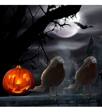 Fashion Halloween Party Decorations Online