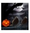 Fashion Halloween Party Decorations Online