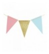 Lings Pennant Triangle Garland Supplies