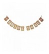 Intoy Bride Bachelorette Banner Glitter