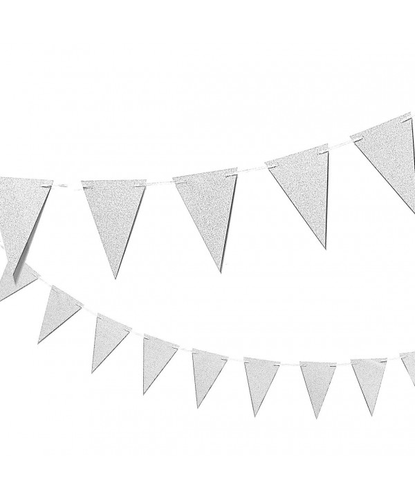 Silver Party Banner Triangle Garland