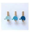 Sweet Thymes Elephant Clothespins Decoration