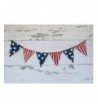 Swanky Party Box Stripes Patriotic