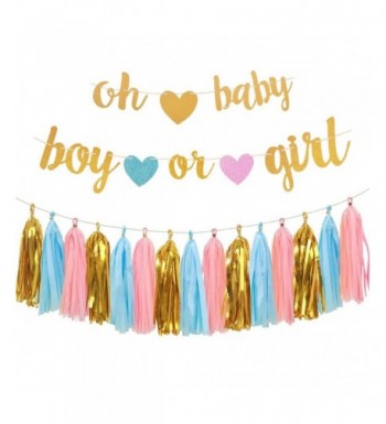 Gender Reveal Party Decorations Glitter