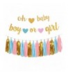 Gender Reveal Party Decorations Glitter