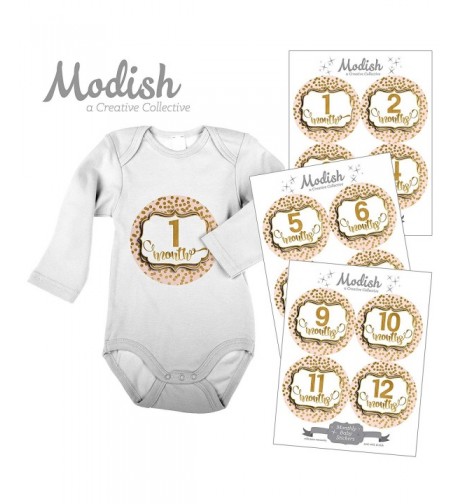 Monthly Stickers Blush Keepsake Shower